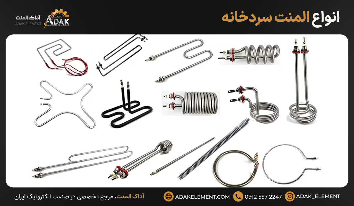 انواع المنت سردخانه