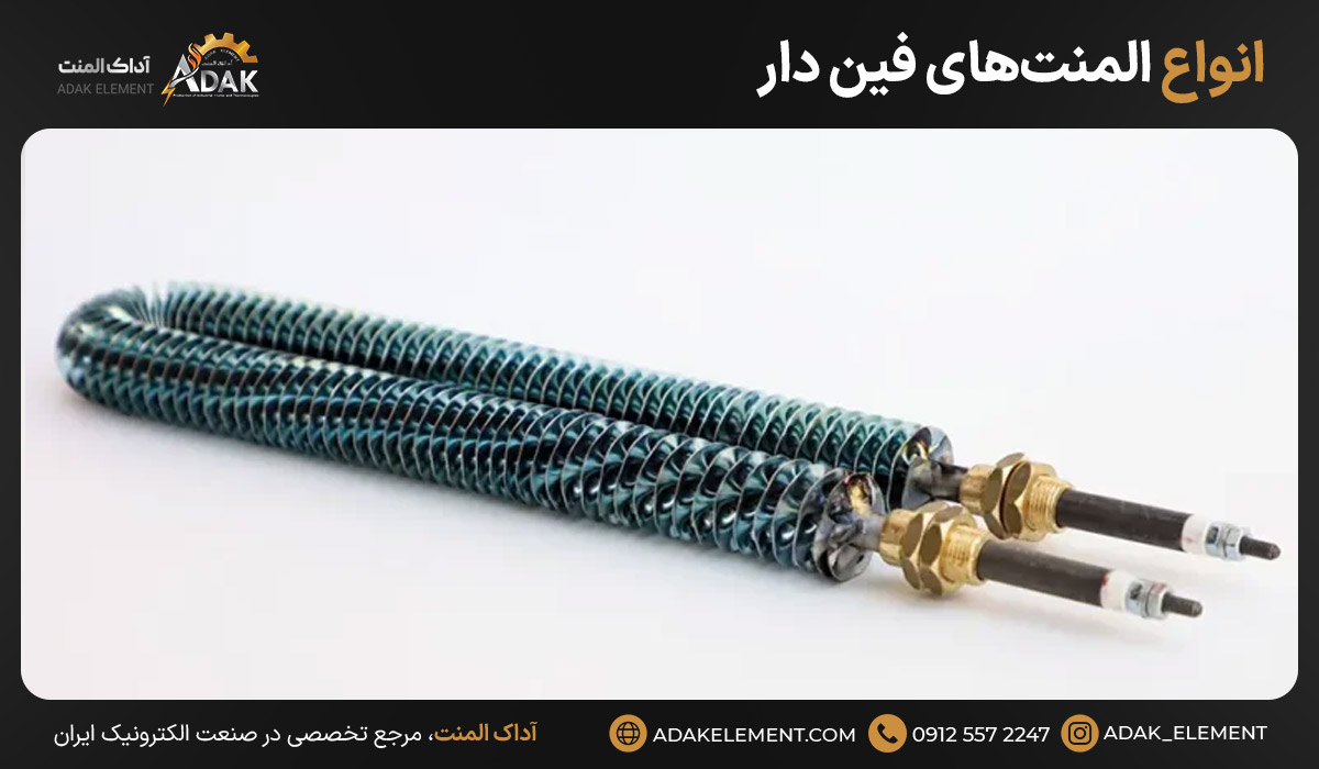 انواع المنت‌های فین دار