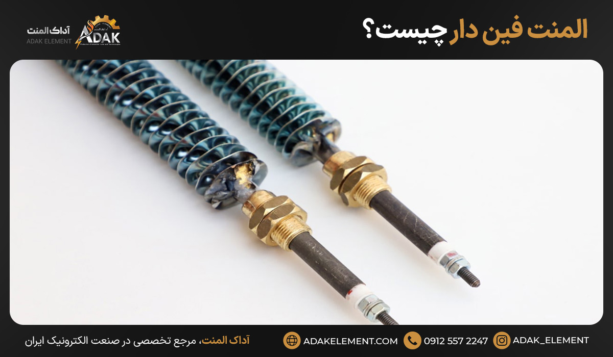 المنت فین دار چیست؟ 