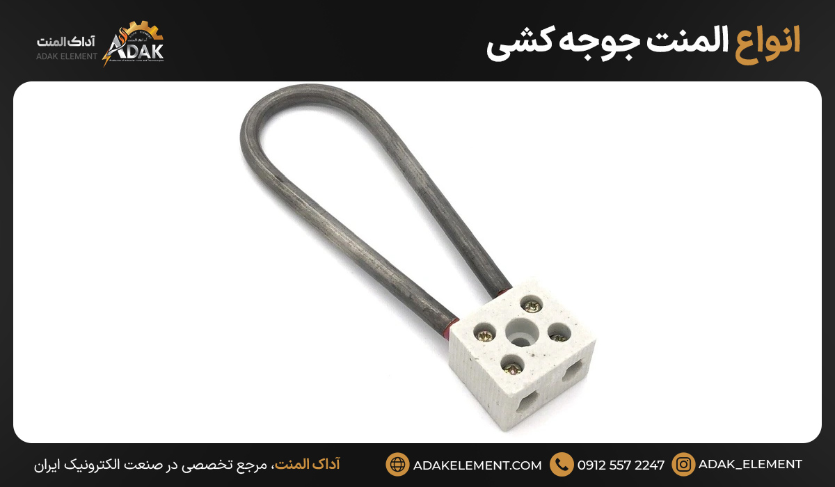 انواع المنت جوجه کشی