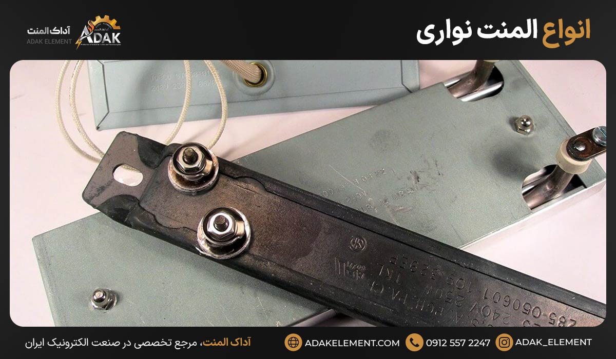 انواع المنت نواری
